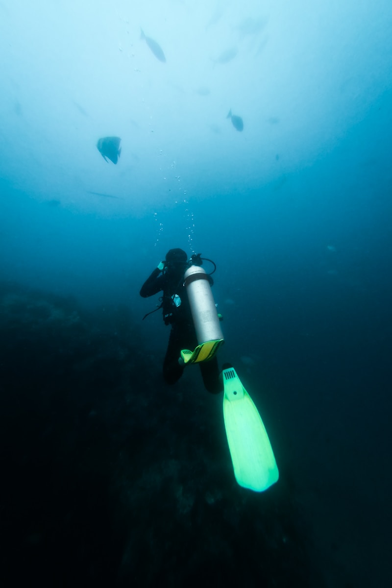 Les Îles Similan en Thaïlande : des plongées spectaculaires entre roches et eaux claires