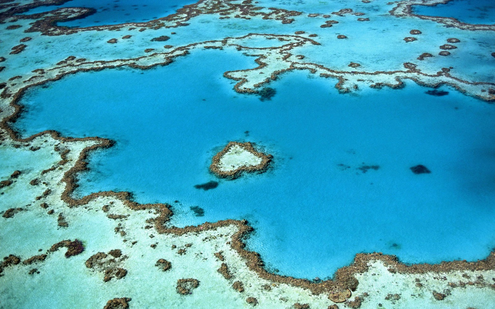 La Grande Barrière de Corail en Australie : plongez dans le plus grand récif corallien