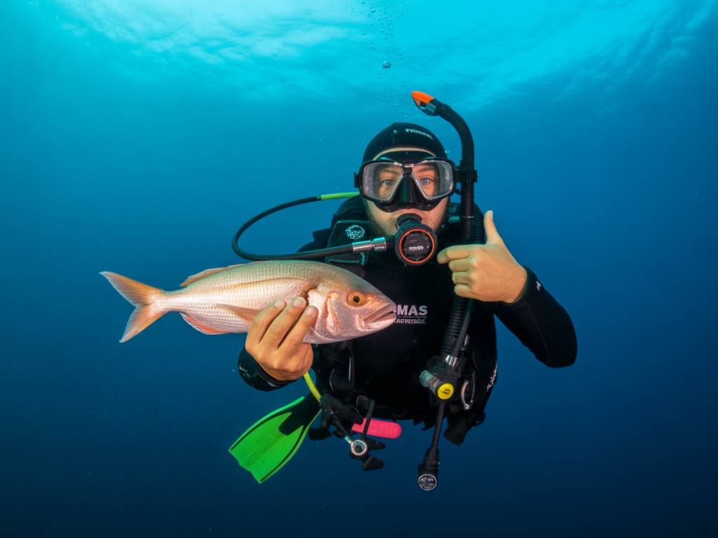 Plongée sous-marine et gastronomie locale : quand les saveurs du monde rencontrent les profondeurs